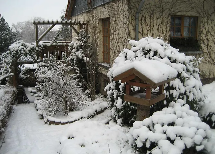 Daire Am Lustgarten Wernigerode